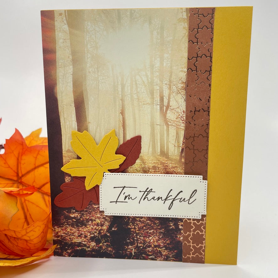 A Luxurious Celebration of Autumn’s Beauty - Autumn Trees in the Sunlight Card