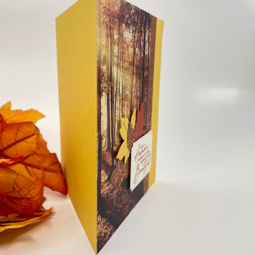 A Luxurious Celebration of Autumn’s Beauty - Autumn Trees in the Sunlight Card