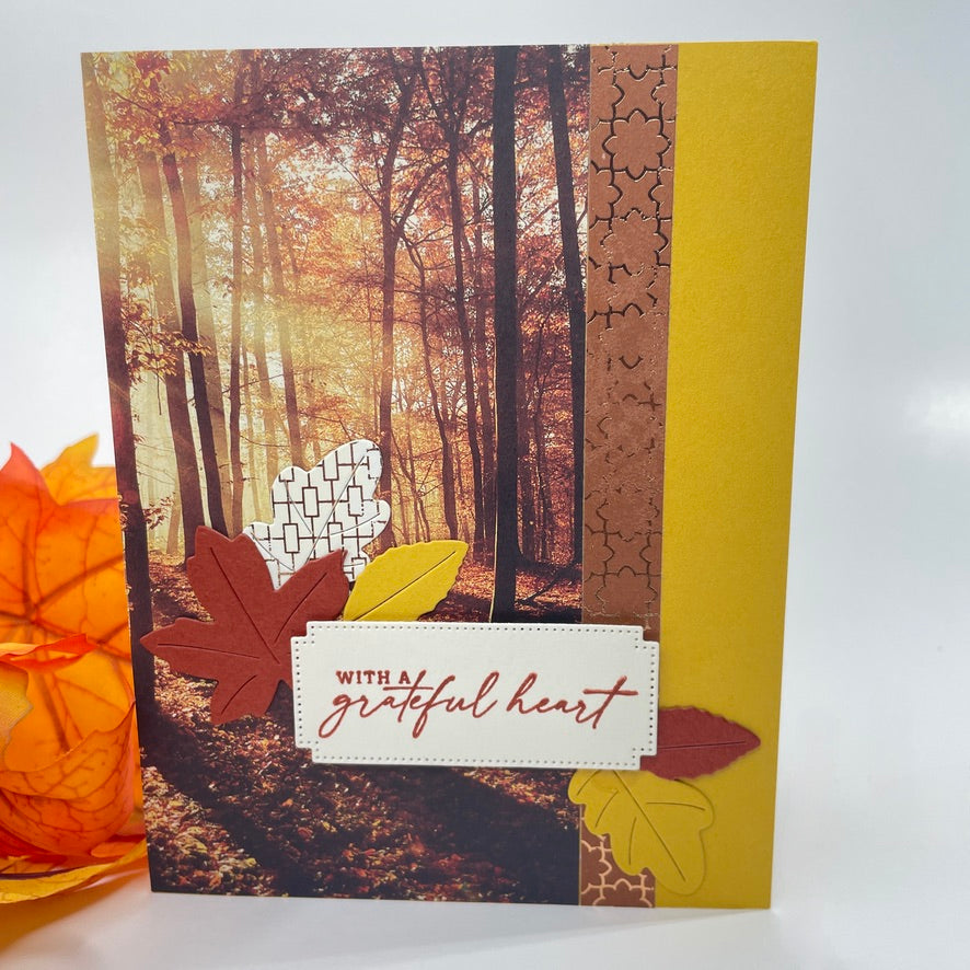 A Luxurious Celebration of Autumn’s Beauty - Autumn Trees in the Sunlight Card