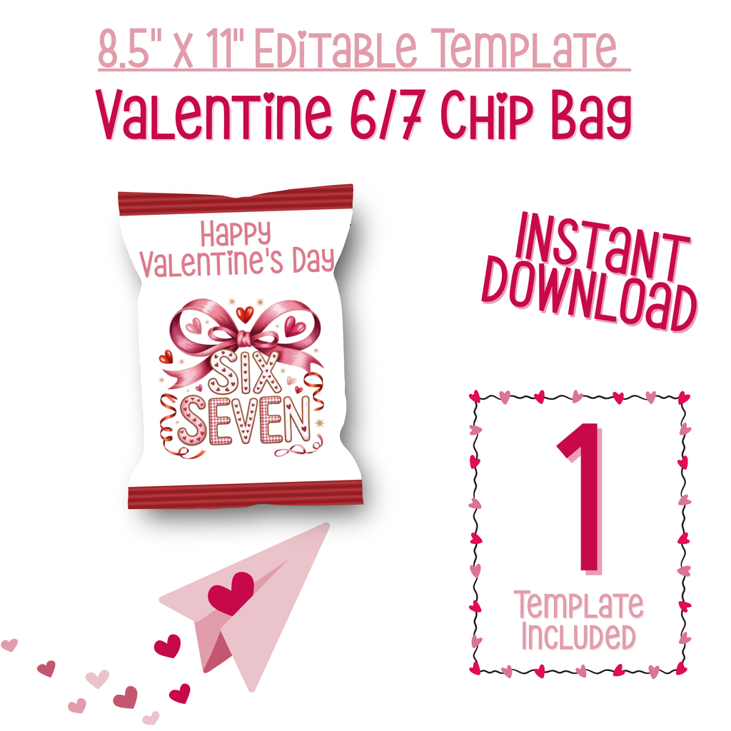 6|7 Pink Hearts and Gingham Chip Bag