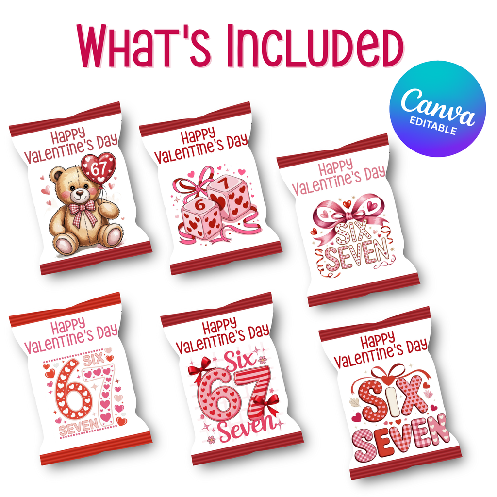 6|7 Valentine's Bear Day Chip Bag Bundle
