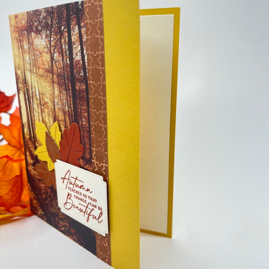 A Luxurious Celebration of Autumn’s Beauty - Autumn Trees in the Sunlight Card
