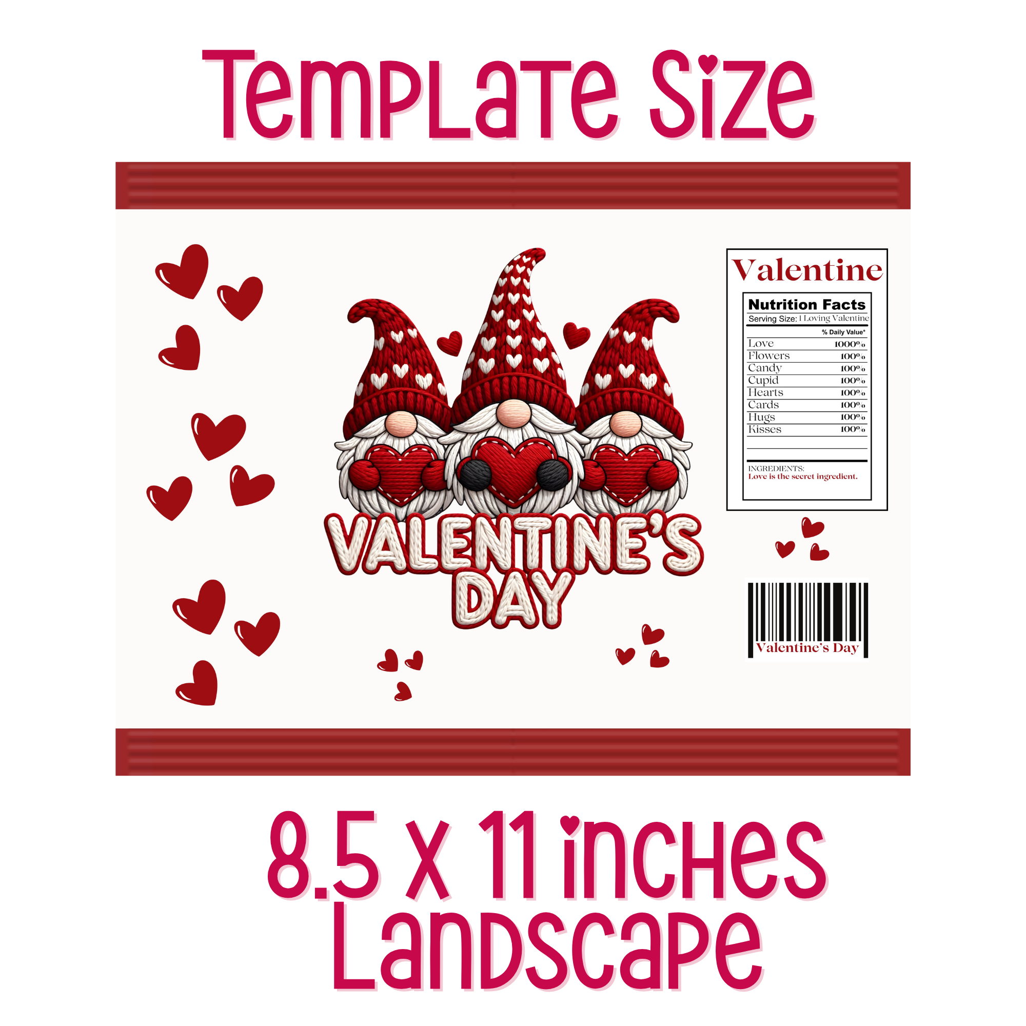 Valentine's Day Gnomes Chip Bag