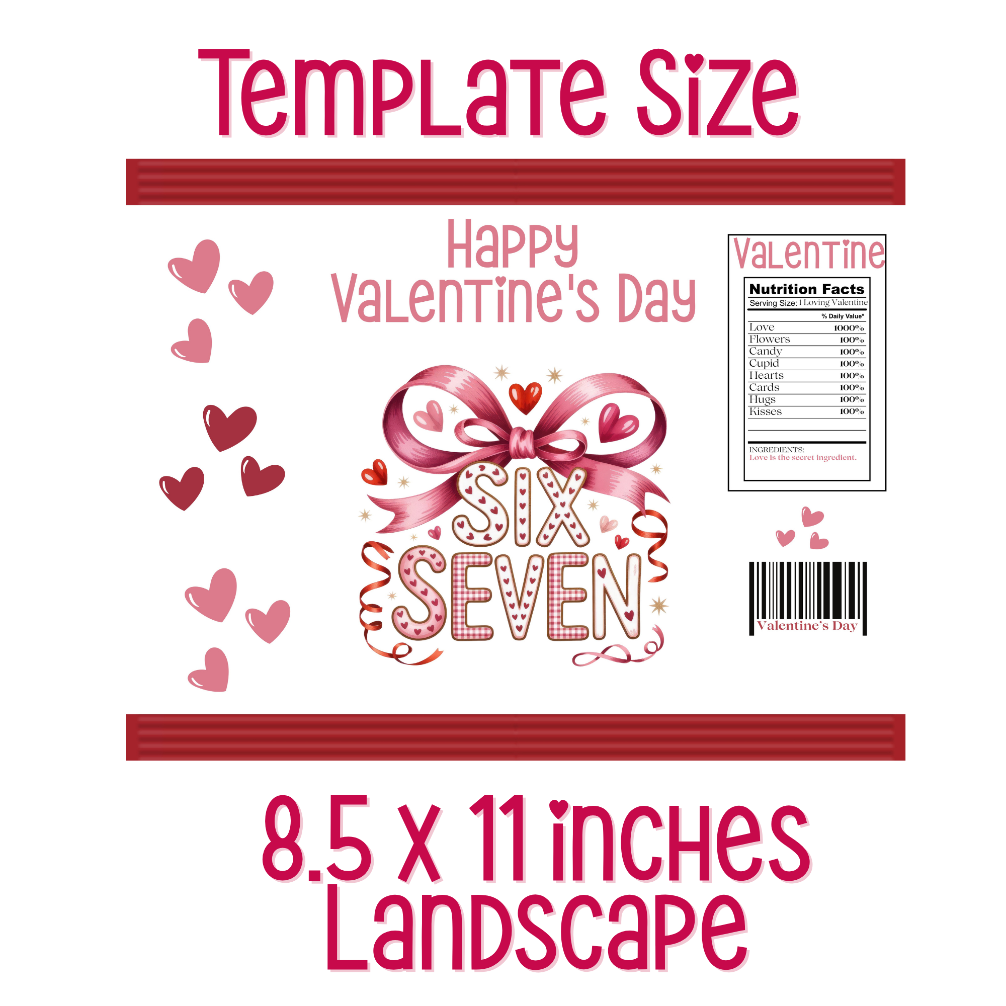 6|7 Pink Hearts and Gingham Chip Bag