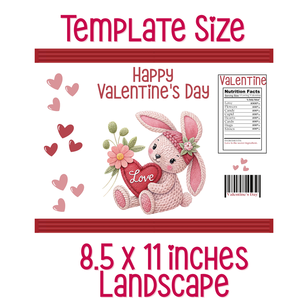 Happy Valentine's Day Bunny Chip Bag