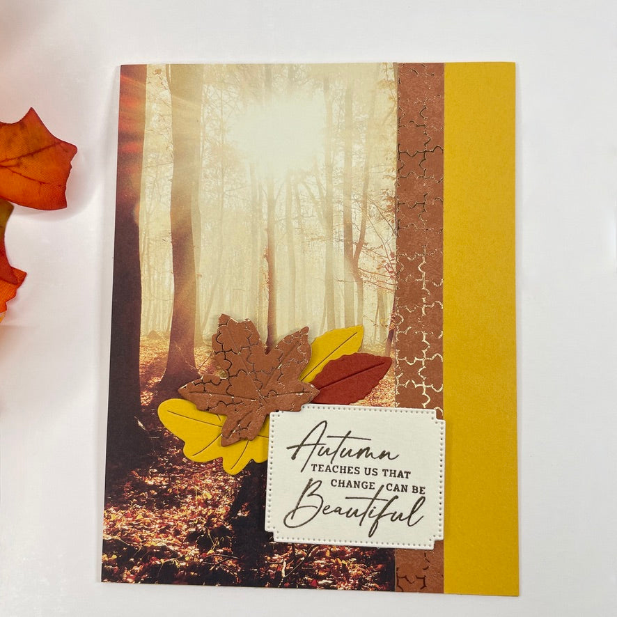 A Luxurious Celebration of Autumn’s Beauty - Autumn Trees in the Sunlight Card