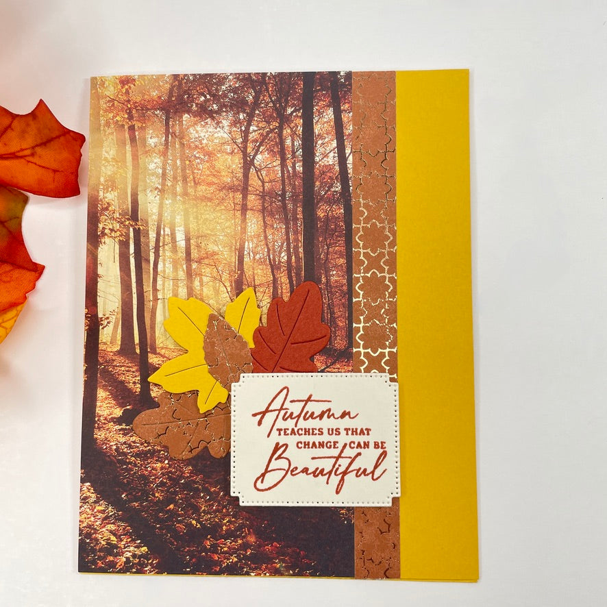 A Luxurious Celebration of Autumn’s Beauty - Autumn Trees in the Sunlight Card