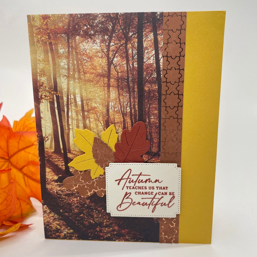 A Luxurious Celebration of Autumn’s Beauty - Autumn Trees in the Sunlight Card