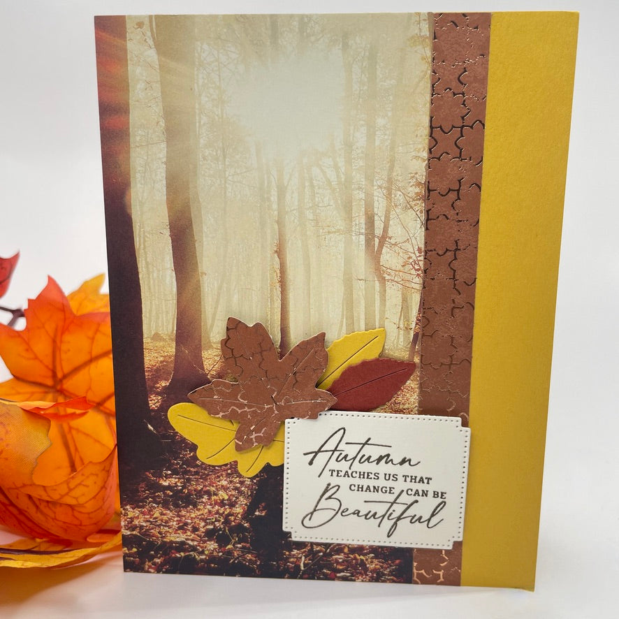 A Luxurious Celebration of Autumn’s Beauty - Autumn Trees in the Sunlight Card